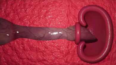 Melina Gets Banged by a Lycanthrope [Dicesfm]