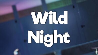 Buttercoat - Crazy Night of Passion (Uncensored)