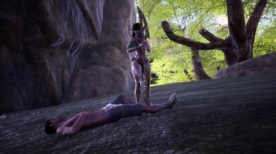 Erotic Elves Expose Themselves in 'Elven Hospitality'