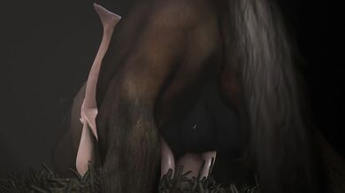 Unbridled Lust: A XXX Equine Adventure