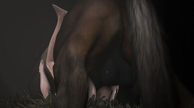 Unbridled Lust: A XXX Equine Adventure