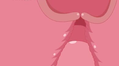 Teacher's Aide Maenchi and the Horny Schoolboys