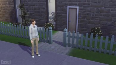 Jenny's Sexual Awakening: The Beginning