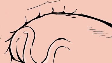 - Big Booty Beauty Gets Banged by the Beefy Bookworm