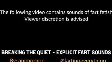 Breaking The Silence: Loud and Proud Farts Unleashed