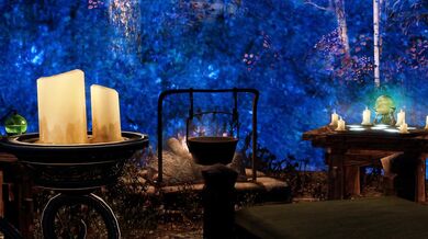 The Husky's Obsession with Minerva