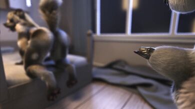 [4K] Alice's First Time with Rin