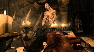 Virgin Khajiit Torn Apart by Demonic Worshipers