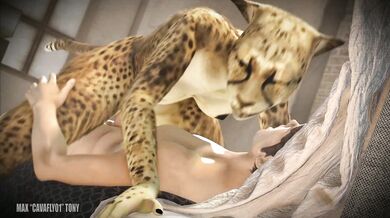 One night with Kumba, in the Bedroom