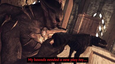 Mal the Fourth: The Raid Sneak Peek [SkyrimForever]