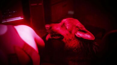 Bitches beware! Mothra is here to teach you a lesson in Bitch Training 1