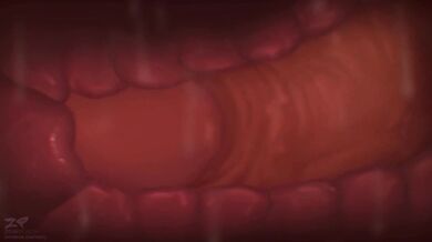 Janner3d & Zonkpunch: A Kinky Compilation of Their Best Porn Scenes