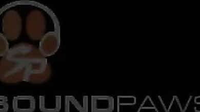 Dragon Breeding 101 with ZonkPunch's 'How To Breed Your Dragon'