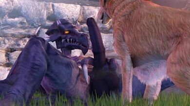 Golden Retriever Blows Ridley's Backdoor in the Alley