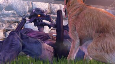 Golden Retriever Blows Ridley's Backdoor in the Alley