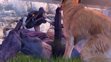 Golden Retriever Blows Ridley's Backdoor in the Alley