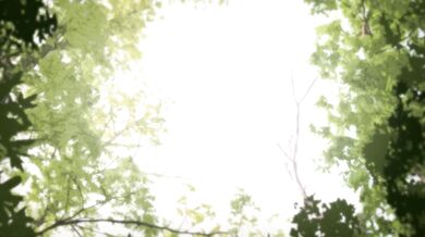 Jailbait Paradise: A Kusujin Island Fantasy