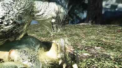 Skyrim: The Argonian Way of Pleasure