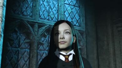 - Harry Potter's Magical Encounter with a Mysterious Stranger in Hogwarts