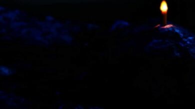 Wicked Sorceress Plowed by a Monstrous Bull in the Forest