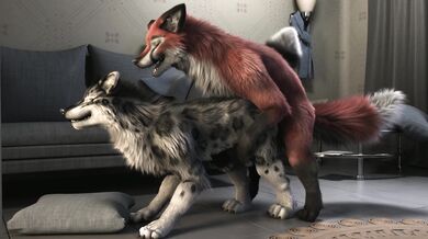 The Nightfox and Tani's 4K Adventure