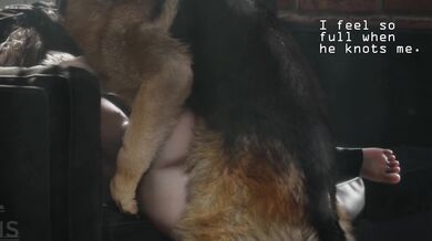 Claire's Canine Commandments: The Sordid Life of a Doggy Mistress