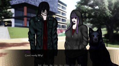 Ultra Human: The Finale