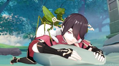 Journey to the Center of Beidou's Forbidden Woodland