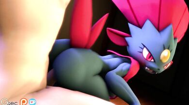 Fucked Weavile