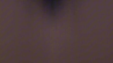 The Tail of Blaze the Cat: A POV Experience